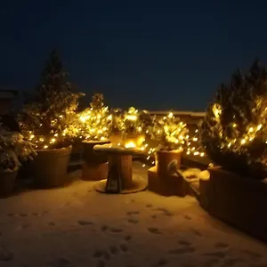 Ahrnhof , Innsbruck Austria