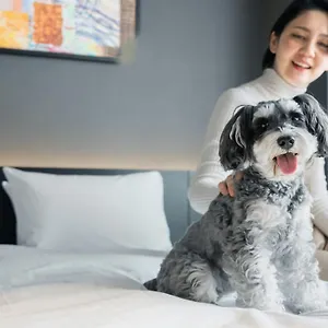 Anddoggy Nijo ホテル